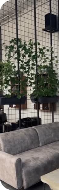 LEGENDMEN сеть барбершопов